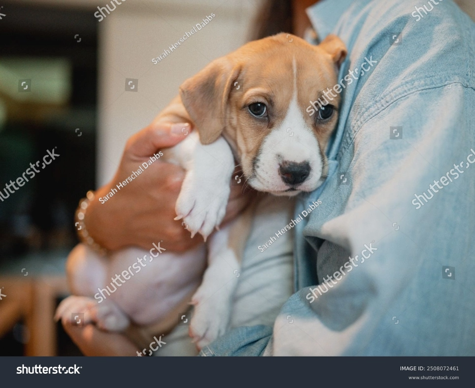 Parteneriat pentru grijă. Susținem adopția responsabilă.